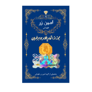 سکه گرمی طلا 18 عیار امین زر مدل amz-0.6
